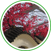 美觀(guān)園藝布景 美觀(guān)園藝布景