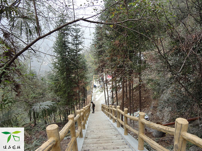 成都grc假山制作客戶(hù)見(jiàn)證 成都grc假山制作客戶(hù)見(jiàn)證