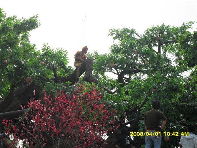 成都仿真假樹(shù)